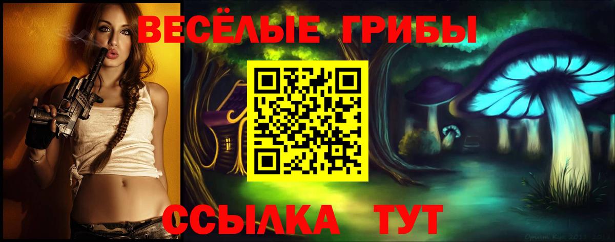 где можно купить   Вход с VPN  Дмитров  Псилоцибиновые грибы мухоморы 